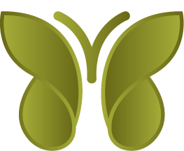 DigitalCampus_Butterfly_WithoutText_Green_Aug2023