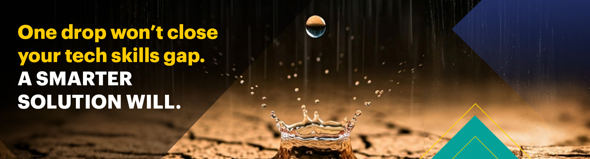 Skillsoft Codecadey - When your tech teams are thirsty for skills - Banner Image